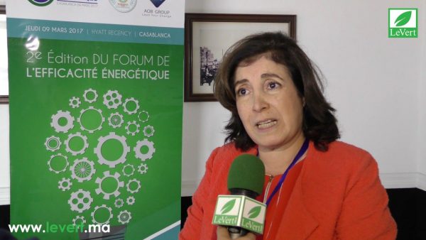 Forum de l’efficacité énergétique : Plaidoyer pour faire de l'énergie renouvelable un engagement durable