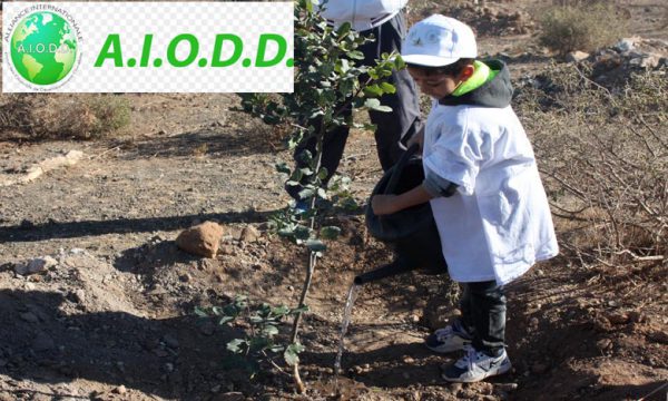 Développement durable : L'AIODD ouvre une antenne au Maroc