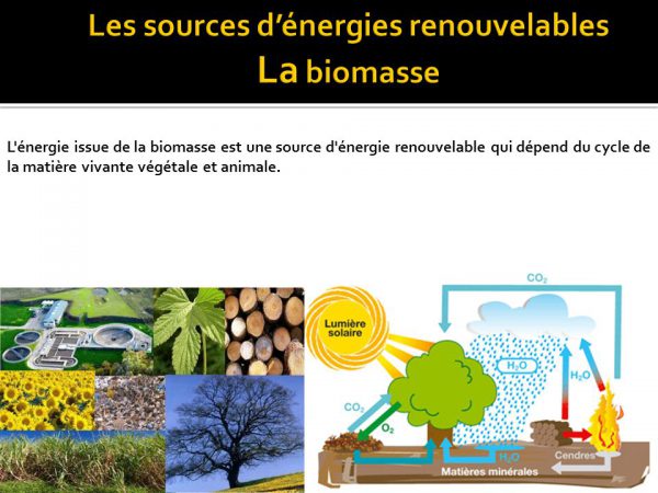 « La Biomasse : Composante de la Transition Energétique », au centre d’un Workshop en marge du SIAM