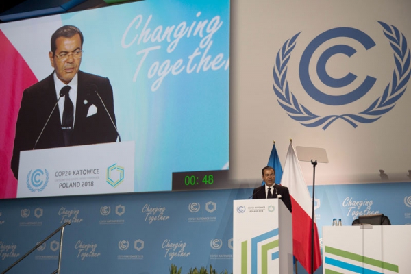 COP24 : Le Souverain plaide la cause climatique de l'Afrique et des pays en développement