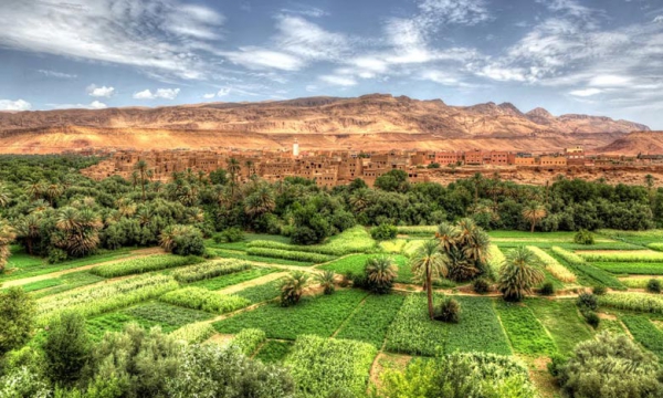 Un Centre des Jeunes Marocains pour l'Energie Durable voit le jour à Ouarzazate