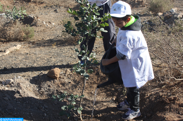 « Semaine Verte 2020 » : Session de formation à Essaouira sur le reboisement et les techniques de plantation