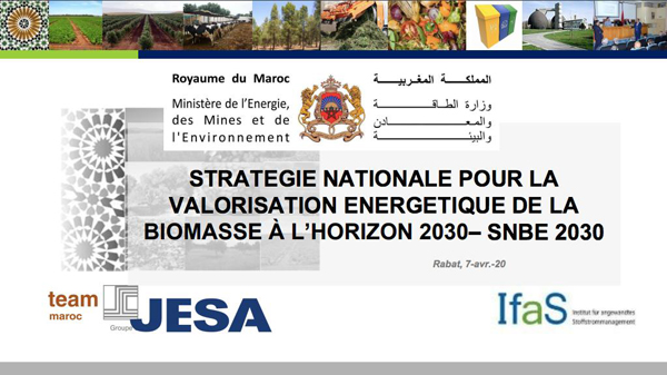 Réunion de la Commission nationale technique de la valorisation énergétique de la biomasse