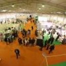 Solaire Expo Maroc - du mardi 23 au jeudi 25 février 2021 à la FIC de Casablanca - Maroc