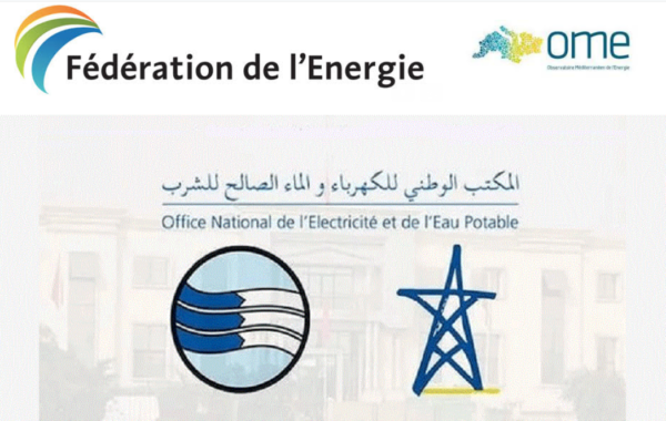 Fédération de l’Énergie : Webinaire sur “Les perspectives énergétiques en Méditerranée”