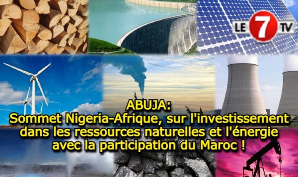 Sommet Nigeria-Afrique sur l'investissement dans les ressources naturelles et l'énergie