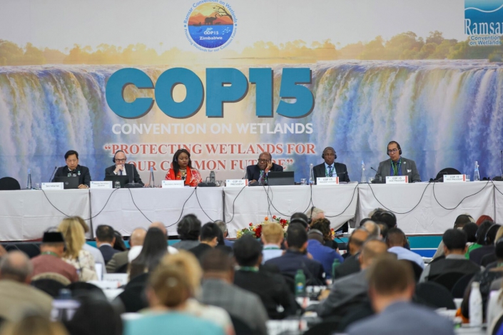 COP15