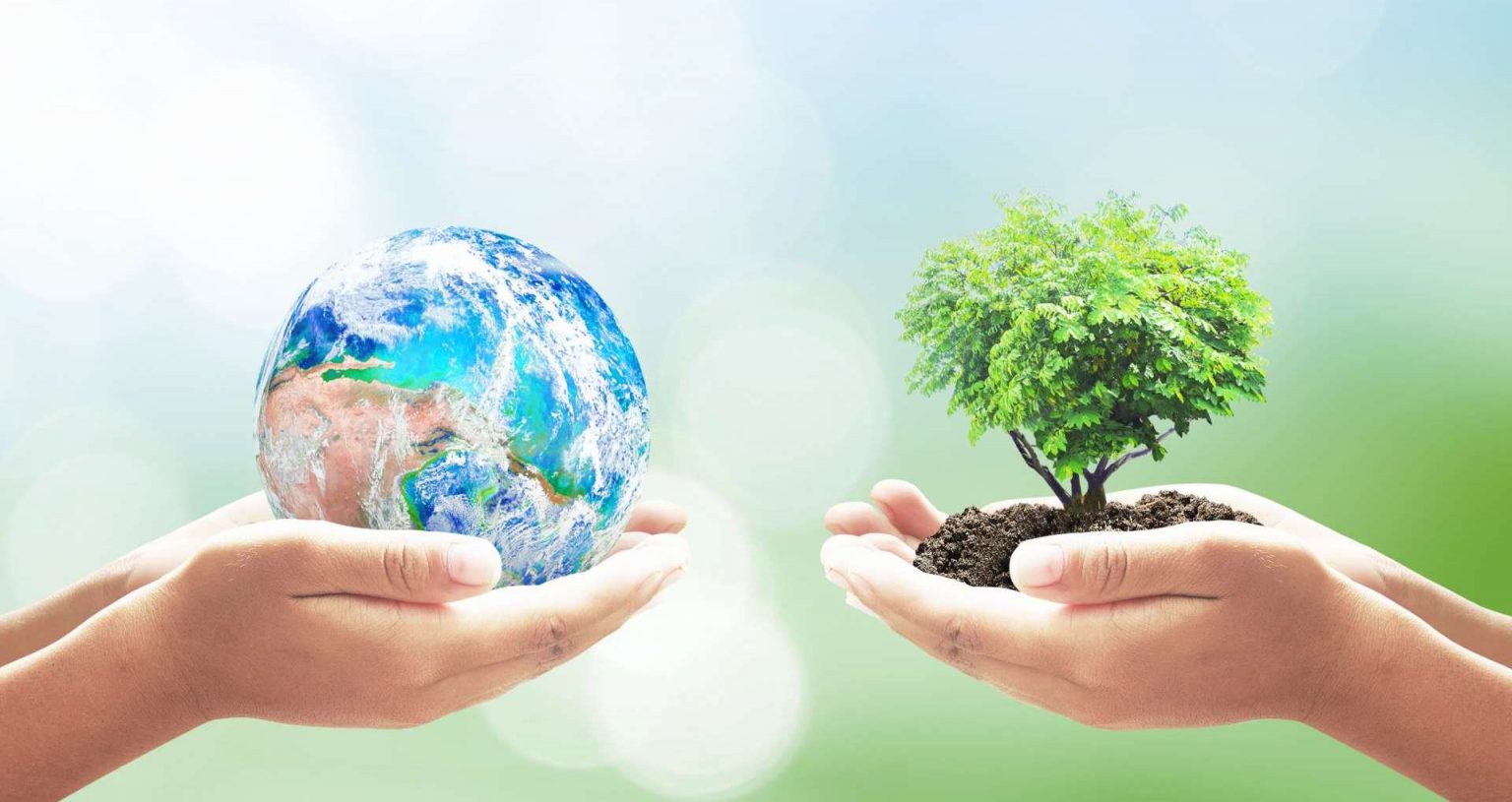 Colloque international sur les enjeux