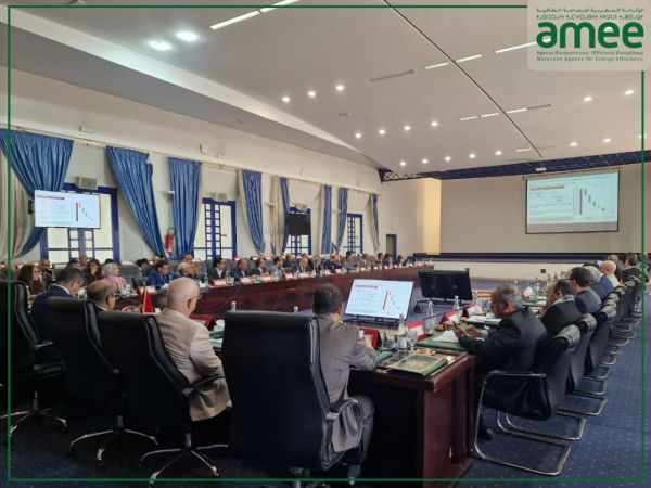 Agadir : Atelier r&eacute;gional sur l'efficacit&eacute; &eacute;nerg&eacute;tique et d&eacute;carbonation