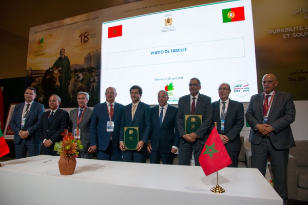 Agriculture : le Maroc r&eacute;alise un d&eacute;veloppement durable et inclusif