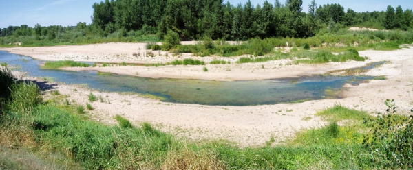 Conf&eacute;rence sur les effets du changement climatique sur l'eau et la biodiversit&eacute; Le 13 mai &agrave; F&egrave;s