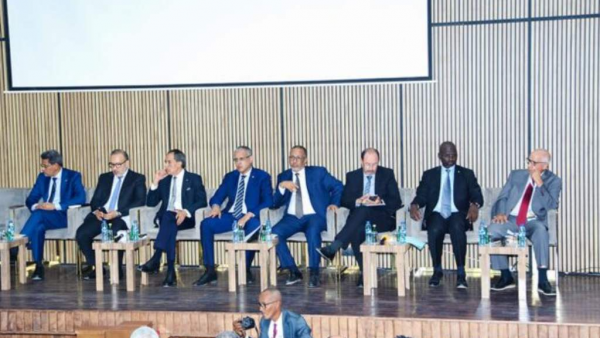 Nouakchott : Plaidoyer pour le d&eacute;veloppement d'une industrie africaine forte en mati&egrave;re d'&eacute;lectricit&eacute;
